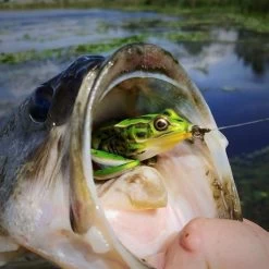 Topwater Combo -Fishing Tackle Shop j7yEkvlTSytB72jUkgIb4QAJo