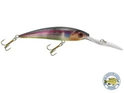 Interceptor -Fishing Tackle Shop j WsDAq9TAn23cYY6 5BmAqtc