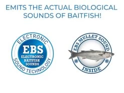 Venom 6 SW 16 Venom 6 SW -Fishing Tackle Shop jzHK 7Wh7b1q77FBa9MAQYJn0 1