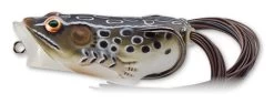 Hollow Body Frog Popper -Fishing Tackle Shop kyotoiIewbnerpu AsFFuaJHA