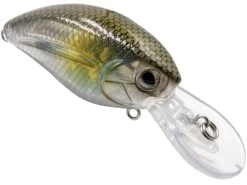 Howeller DMC Jr. 13 Howeller DMC Jr. -Fishing Tackle Shop lAaYryWb wV0SJdLz A9llqvM