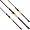Favorite Big Sexy Casting Rod -Fishing Tackle Shop lpuT7i 0tA4Tz ap8pMdT6kkY