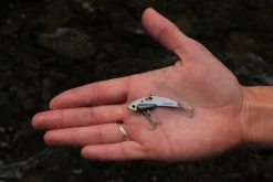 SteelShad Mini - 1/4 Oz - White Shad (2pk) -Fishing Tackle Shop r8WYQRuVWYhsOvBz6UoIIEPRc