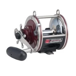 PENN Special Senator® Star Drag -Fishing Tackle Shop sVMclkf9ZvQ1MlDb BGcMiZS0