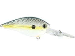 FlatMaster -Fishing Tackle Shop sggfuGlVTEtKZlJ ud6P3pSbc