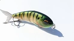 Groovy Glide -Fishing Tackle Shop wE7YsDuJCfVDLfu879ppMnFTk