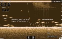 SteelShad Mini - 1/4 Oz - Kentucky Shad (2pk) -Fishing Tackle Shop x059z1QAmNyuahzLFVHARsZA4