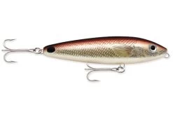 Rapala - Saltwater Skitter Walk -Fishing Tackle Shop y6JkOaR9Kivvangq7Jm7O7e7E