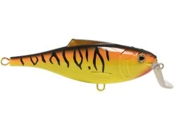 BullDozer -Fishing Tackle Shop yPgakrXLkjnEVBQHbFI9bJXe8