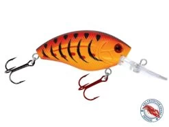 Howeller DMC -Fishing Tackle Shop yd6mp5BfdcGutIstHMHIec9WQ